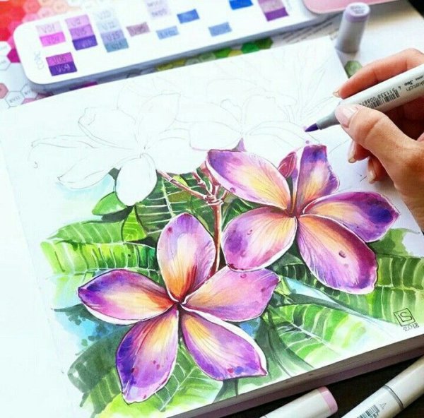 Тропические цветы маркерами