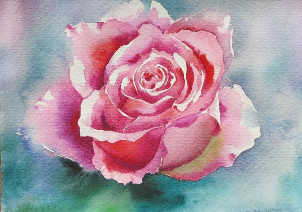 Роза акварель (Aquarell)