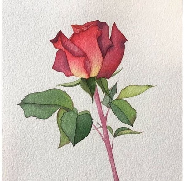 Рисуем розы гуашью