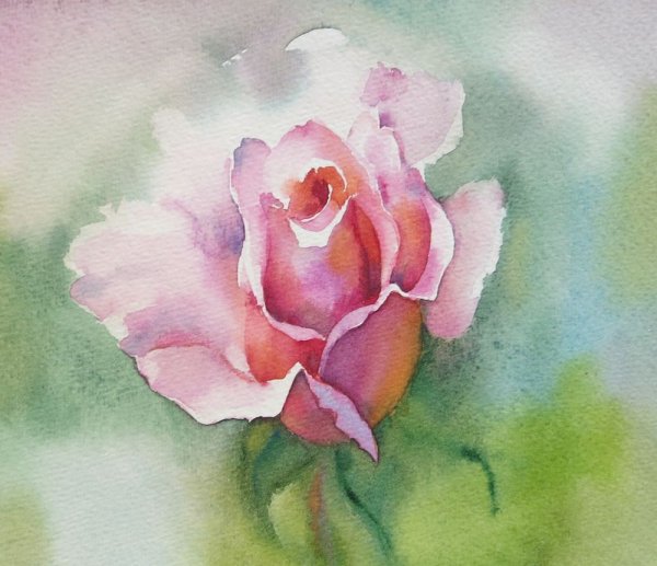 Рисование цветов акварелью