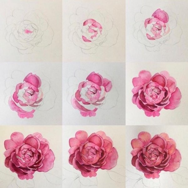 Акварельные розы пошагово