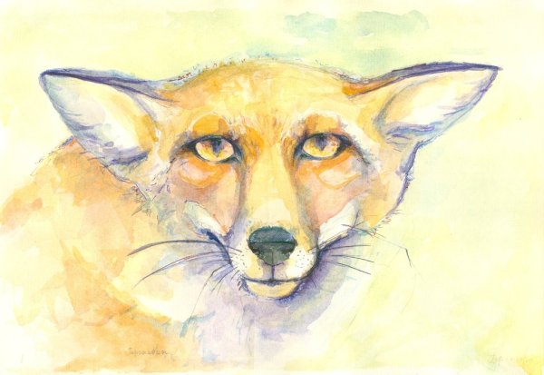 Рисунки гуашью животные легко