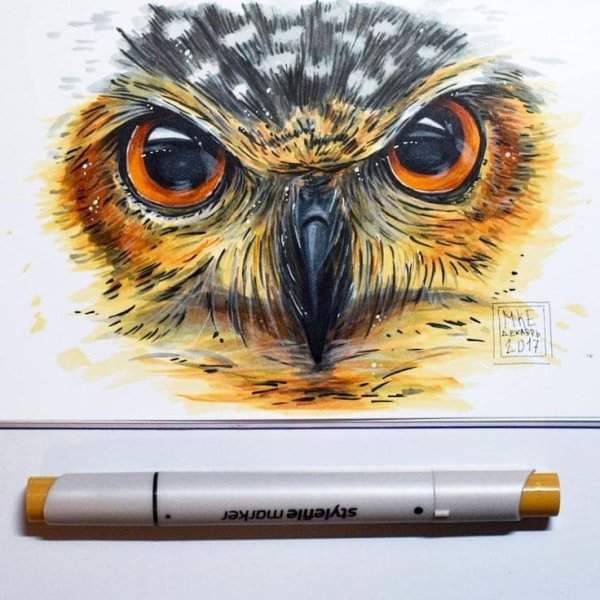 Животные маркерами