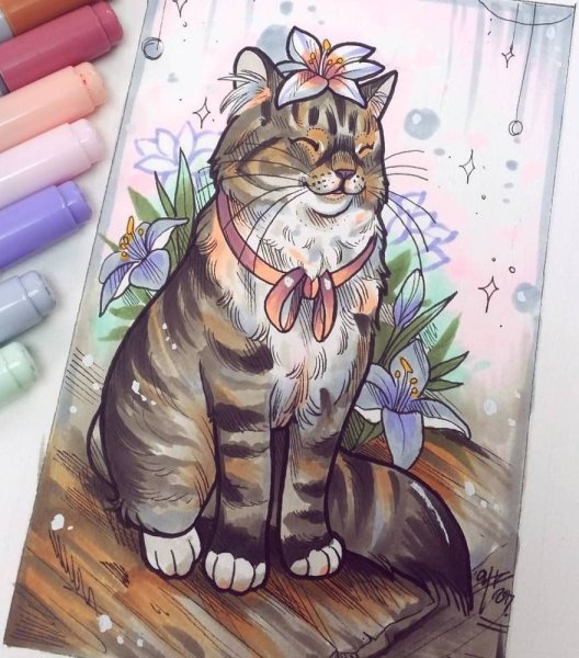 Кошка маркерами