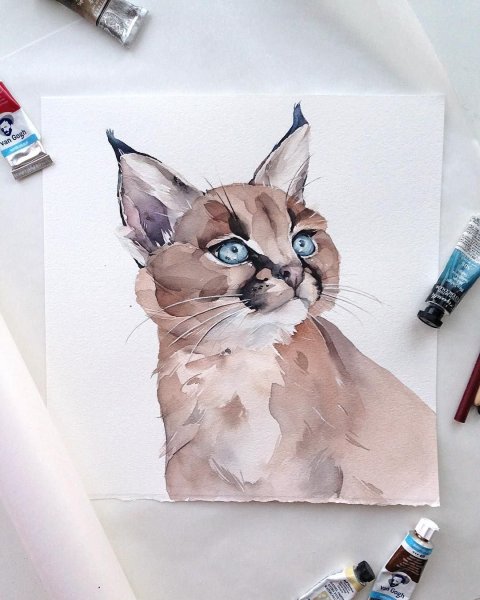 Наталья Каданцева акварель животные