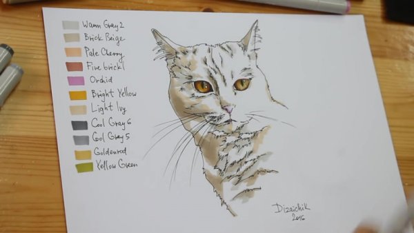 Скетчи маркерами котики