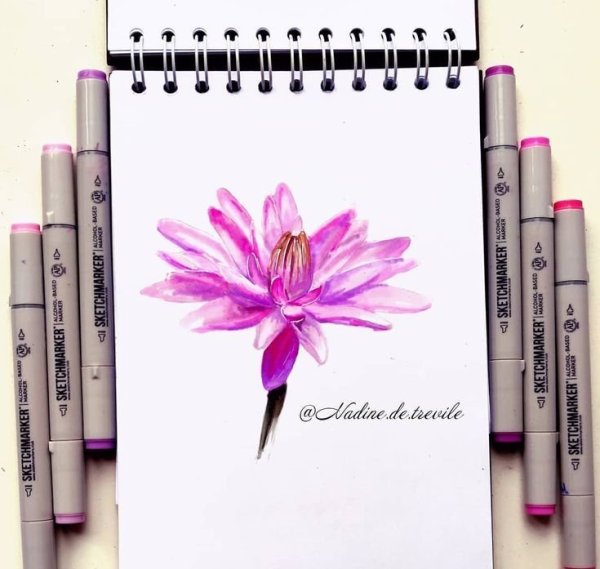 Рисунки легкие в сейч бук маркерами