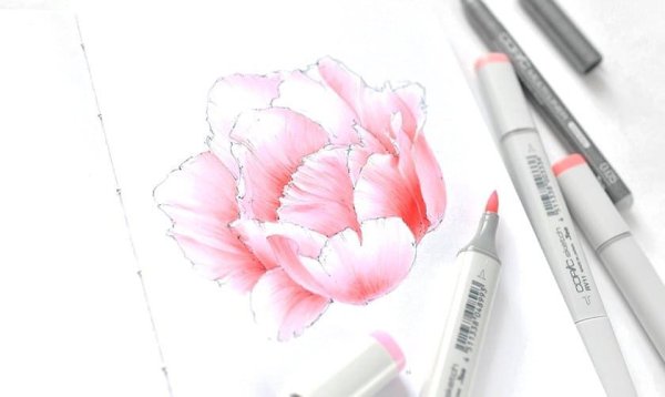 Пион скетч маркерами