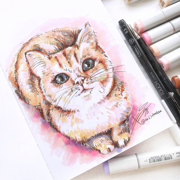 Рисунки животных фломастерами