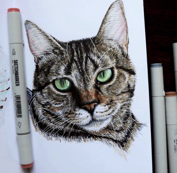Кот фломастерами
