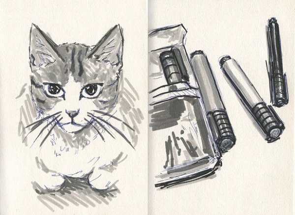 Кошка маркерами