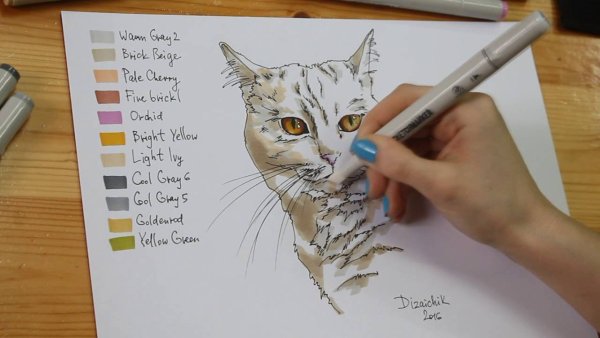 Картинки котят для срисовки