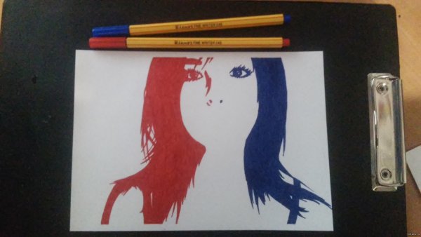 Рисунки Sibylline Meynet