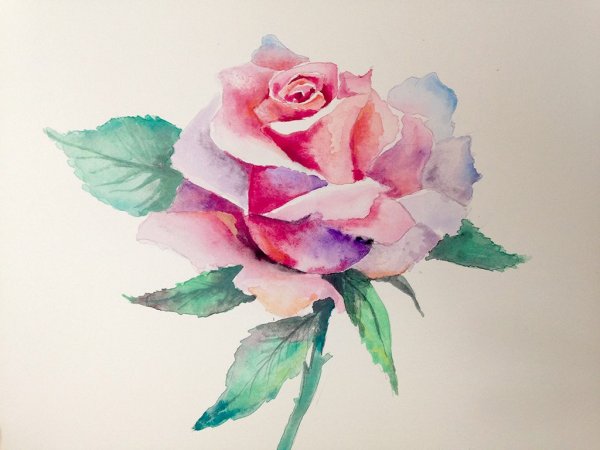 Тюльпаны акварелью