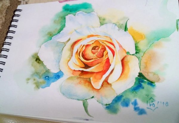 Простые рисунки акварелью для начинающих