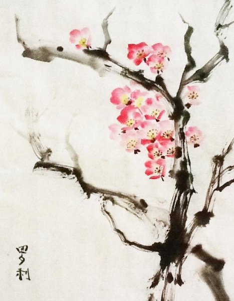 Ветка Сакуры для рисования