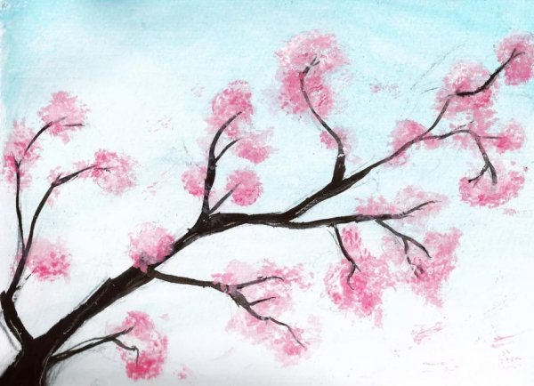 Сакура гуашью