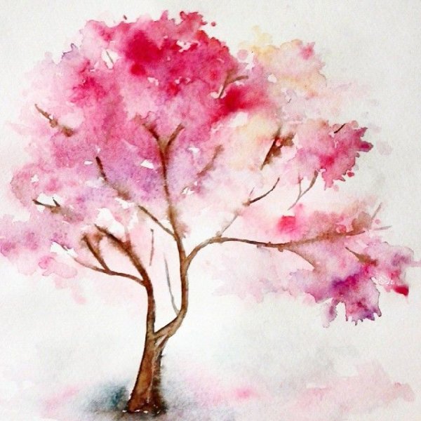 Сакура дерево акварелью