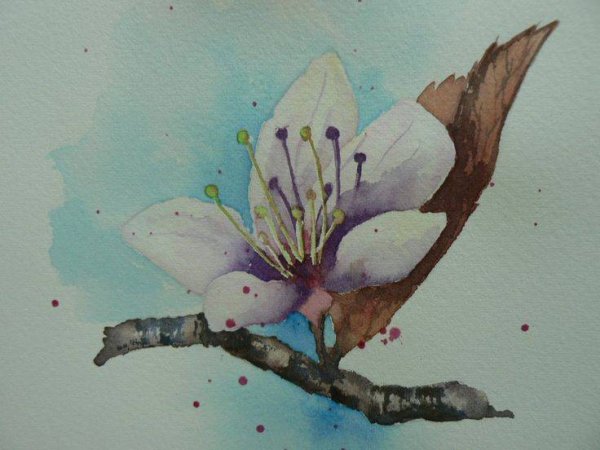 Сакура акварелью для детей