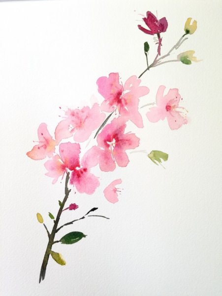 Мелкие цветы акварель