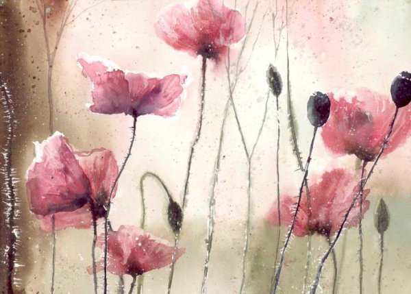 Малгожата Щецинская акварель цветы