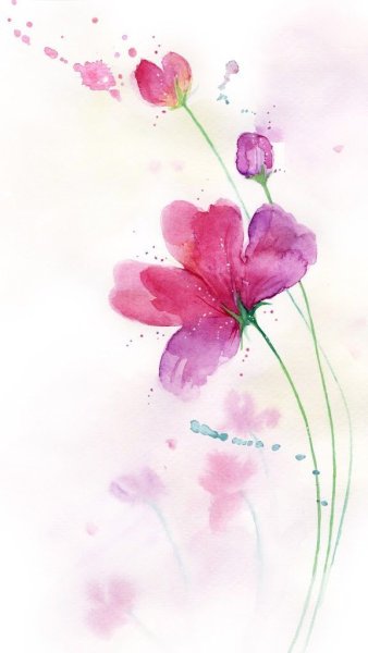 Нежные цветы акварель