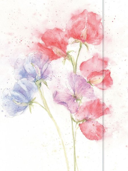 Акварельные цветы Пинтерест