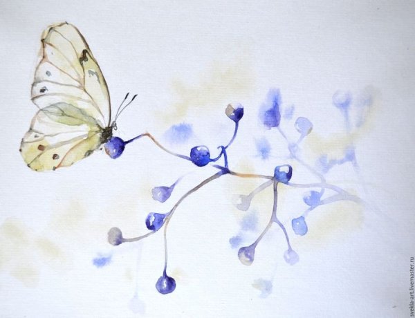 Бабочка на цветке акварель