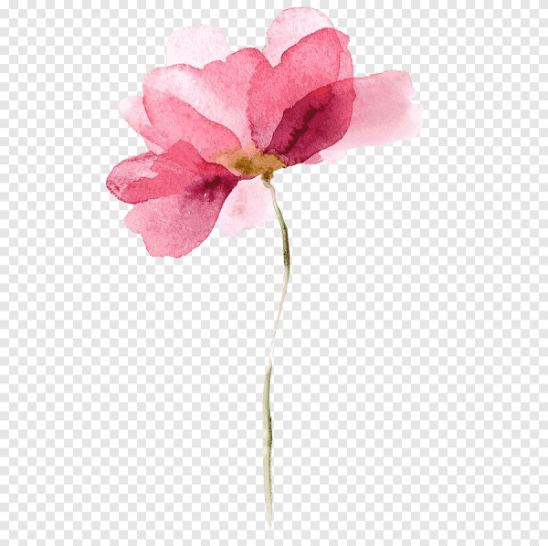 Ваза с цветами акварелью