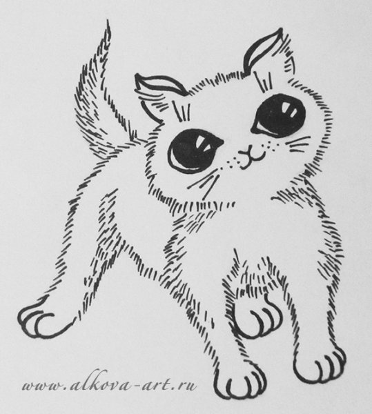 Котенок фломастером