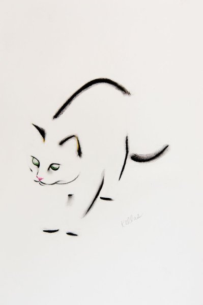 Kellas Campbell кошки