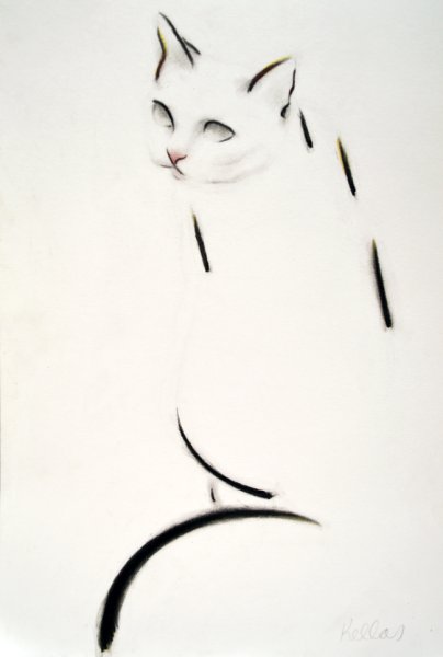 Kellas Campbell кошки