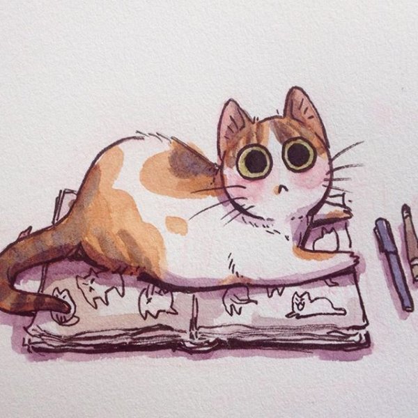 Котиркти для скейчбука