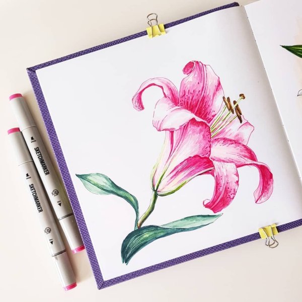 Цветы акварельными маркерами