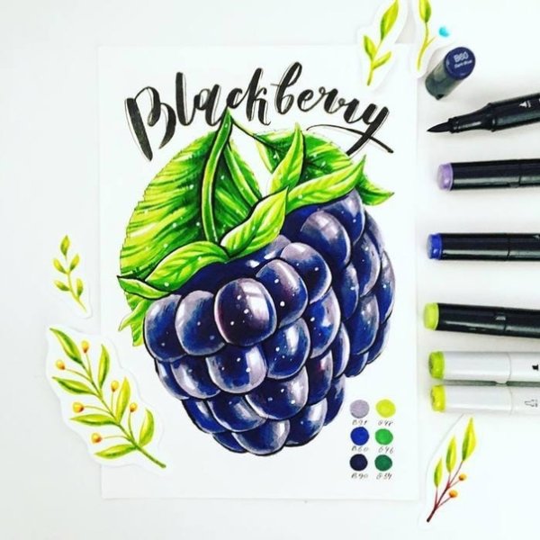 Фрукты спиртовыми маркерами