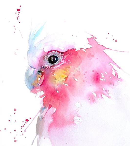 Попугай рисунок акварелью