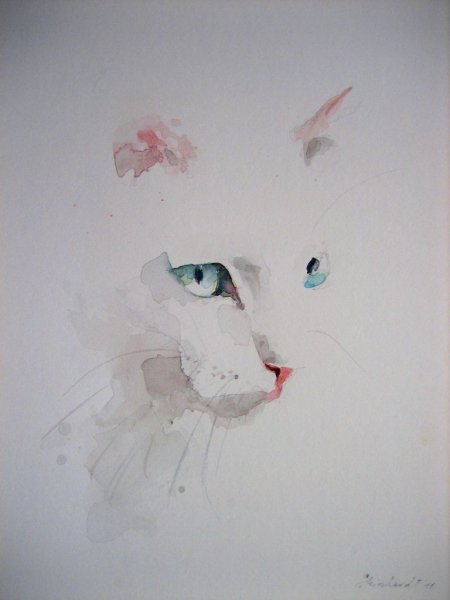 Белая кошка акварелью