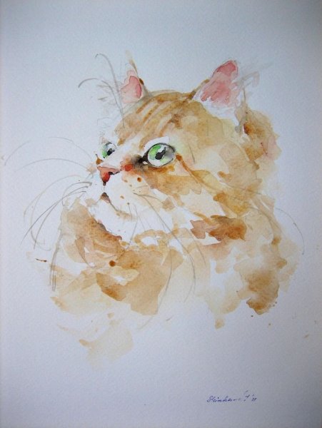 Кот акварелью