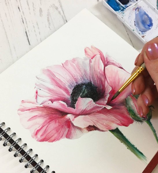 Рисование акварельными карандашами