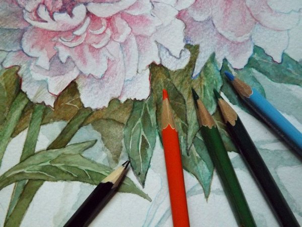 Акварель и цветные карандаши