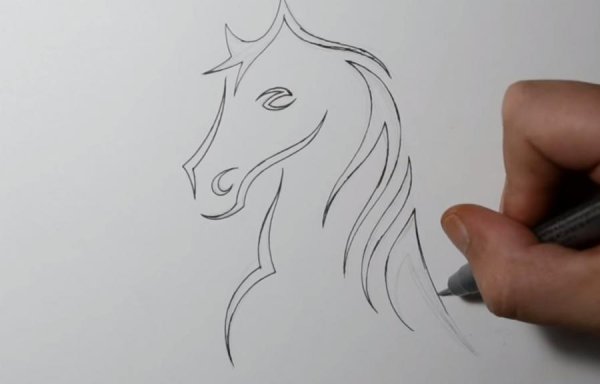 Рисунки цветные легкие