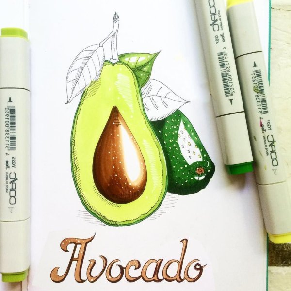 Авокадо скетч