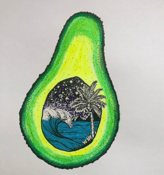 Авокадо скетч