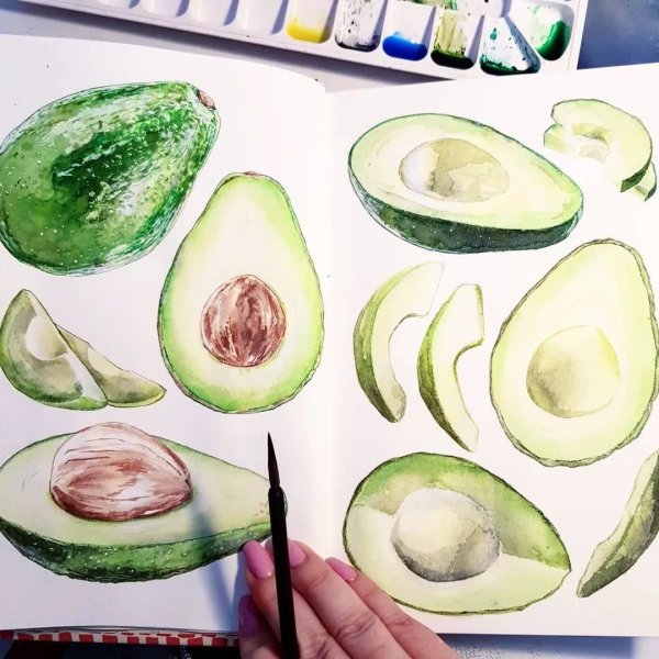 Скетчи легкие маркерами авокадо