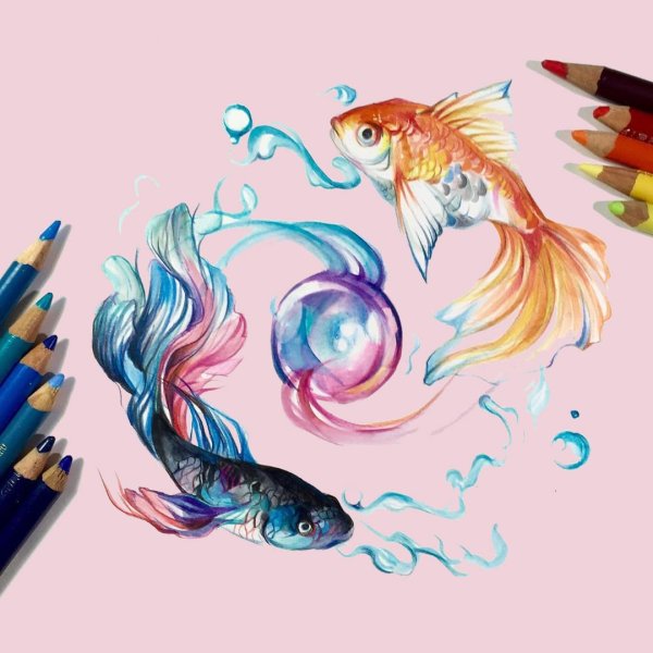 Иллюстрации Кэти Липскомб