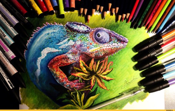 Рисунки фломастерами