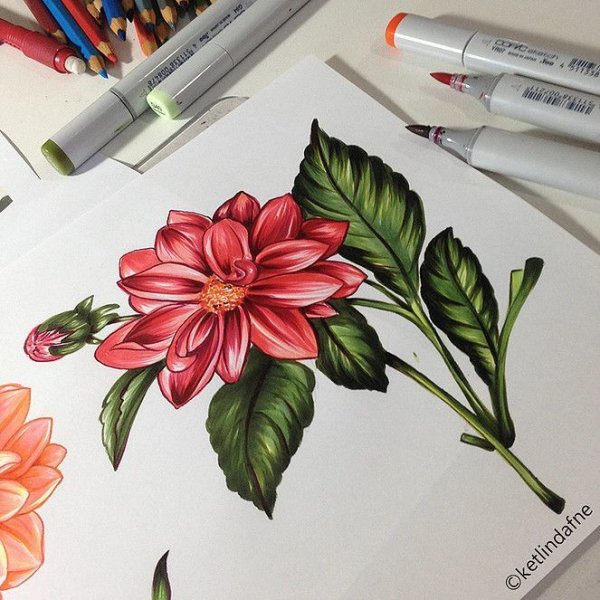 Рисование маркерами цветы