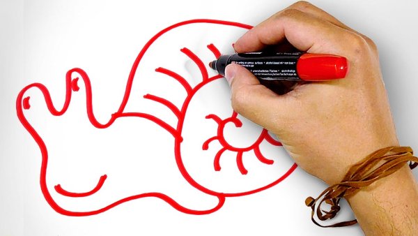 Роза маркерами