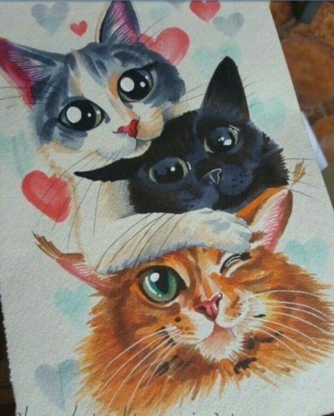 Кошка фломастерами