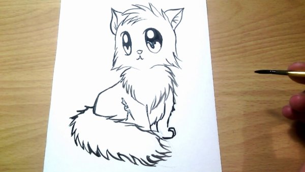 Котенок фломастером